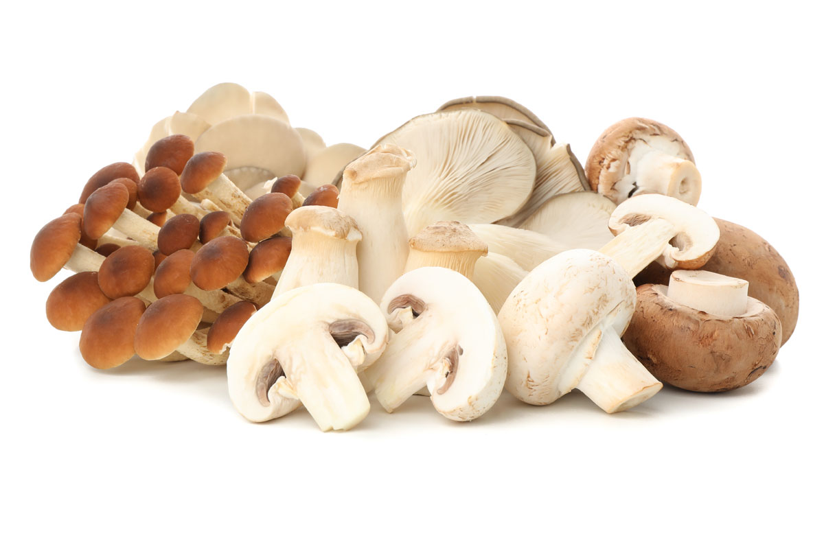 Pilze, Wochenmarkt Gießen, Rockenberg, Jürgen Merz